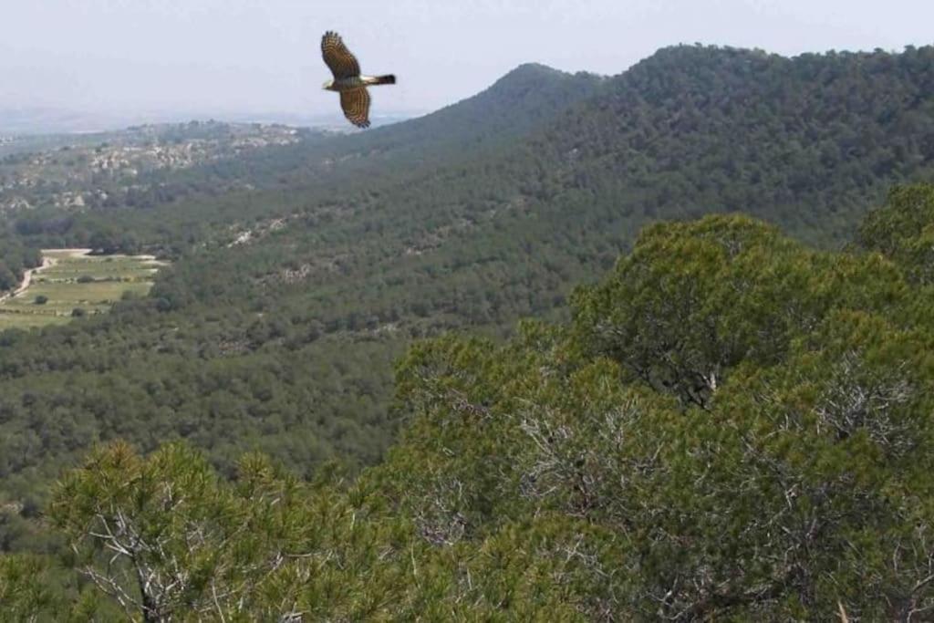 Myrtus Golf Διαμέρισμα Μούρθια Εξωτερικό φωτογραφία
