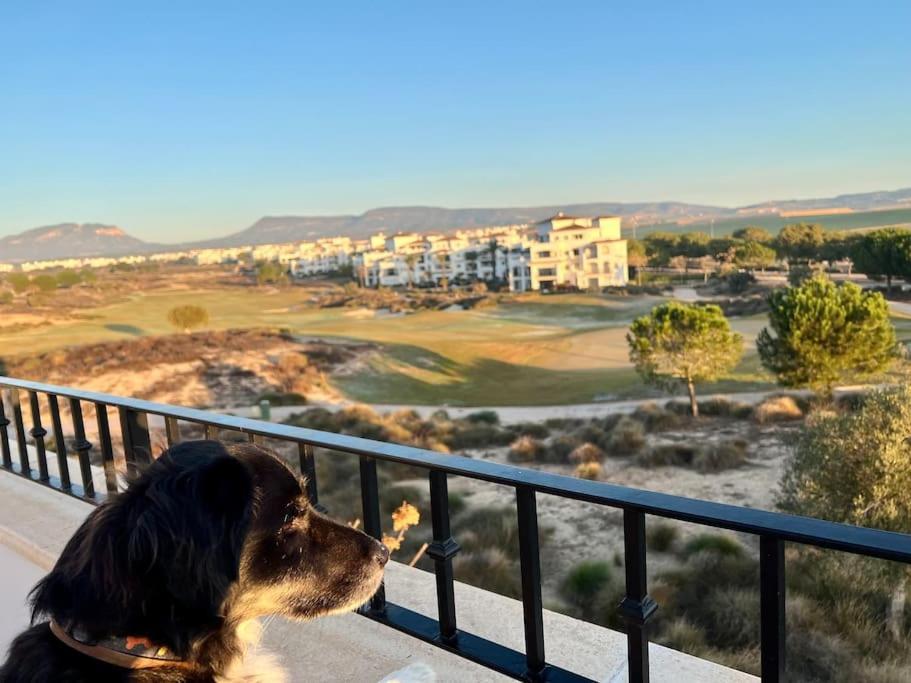 Myrtus Golf Διαμέρισμα Μούρθια Εξωτερικό φωτογραφία